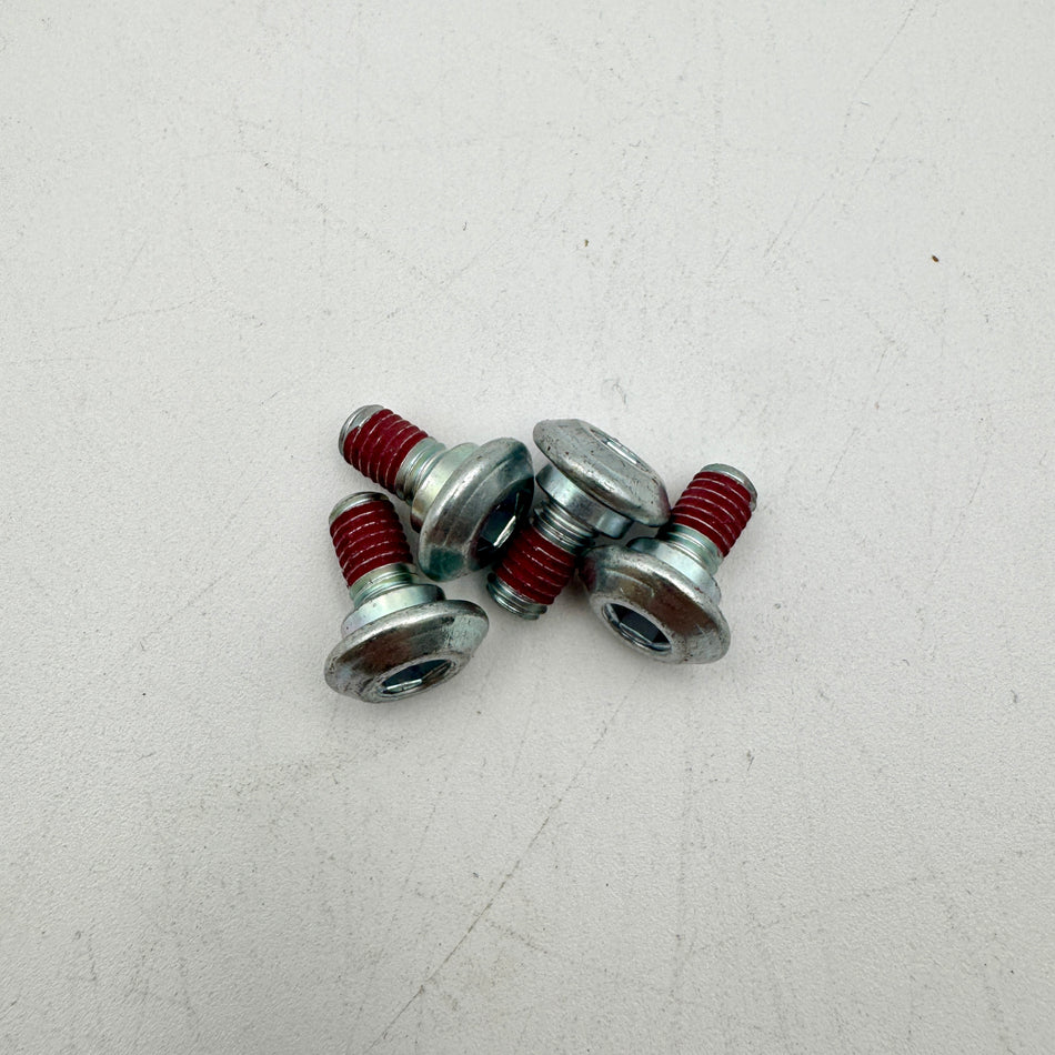 M6X10-FA Kawi Rotor Bolt