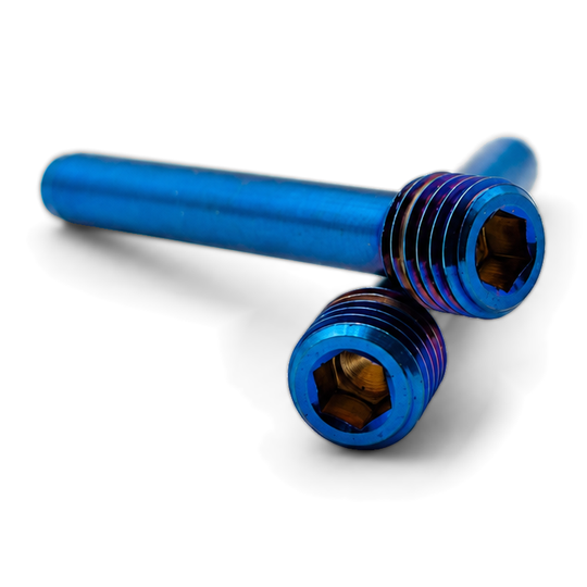Two burnt blue titanium brake pad pins with hex heads